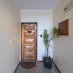 Zizas House T2 Palace Lejlighed